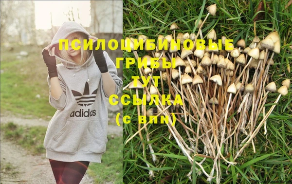 мяу мяу мука Богданович