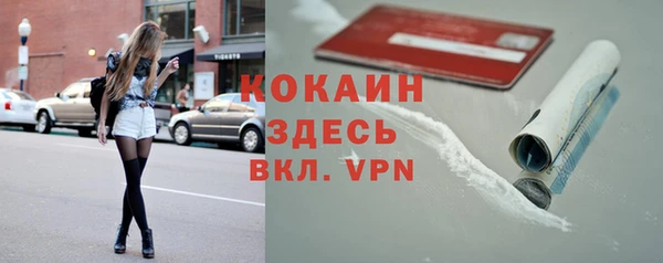 винт Богородицк