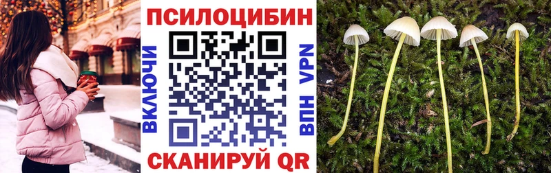 сколько стоит  Надым  Псилоцибиновые грибы мицелий 