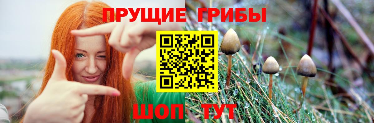 Галлюциногенные грибы прущие грибы Надым